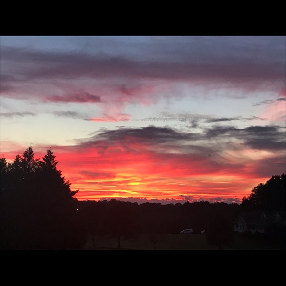 Meet your Posher, Tanya - Picture 1 of 1